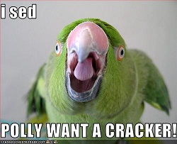 Polly want a cracker