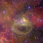 Cosmos