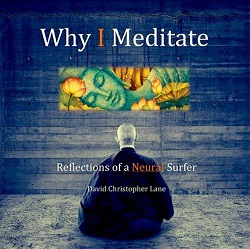 David Lane, Why I Meditate