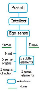 Elements in Samkhya philosophy