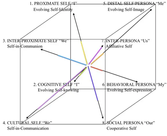 Figure 3. The First Person AQAL Cube Psychograph