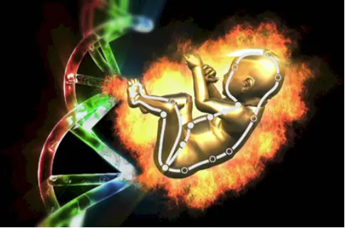 Immortal Fetus/Genetic Blueprint of Origin
