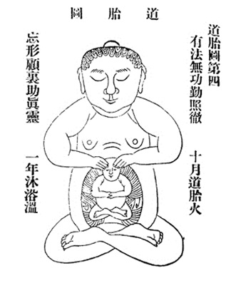 The Chinese Embryo of Enlightenment