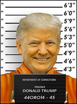 Donald Trump mugshot