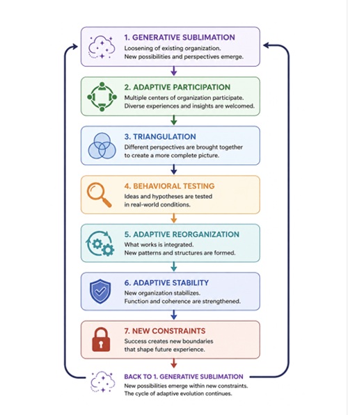 Adaptive Reorganization Theory and the Big History Debate: Clarifying the Di
