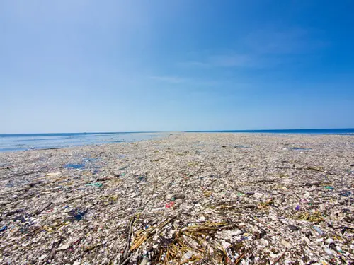 This area includes what is known as the 'Great Pacific Garbage Patch'