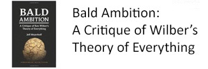 Bald Ambition: A Critique of Ken Wilber's Theory of Everything
