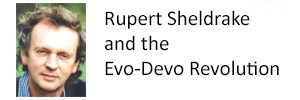 Rupert Sheldrake and the Evo-Devo Revolution