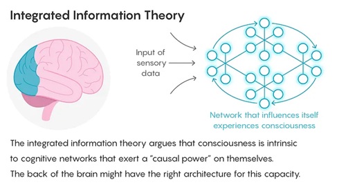 Integrated Information Theory