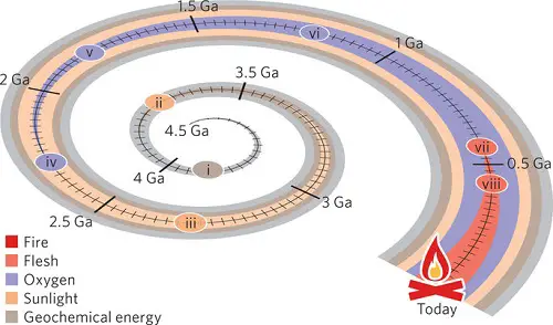 The Energy Expansions of Evolution