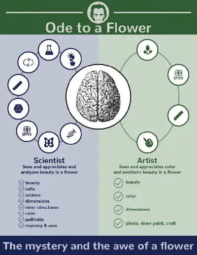 INFOGRAPHIC BY RACHEL STELZER