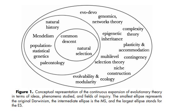 The extended evolutionary synthesis