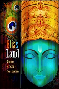 Bliss Land, David Lane