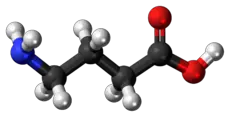 gamma-Aminobutyric acid