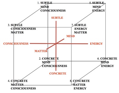 Figure 7. The Sixth Person AQAL Cube