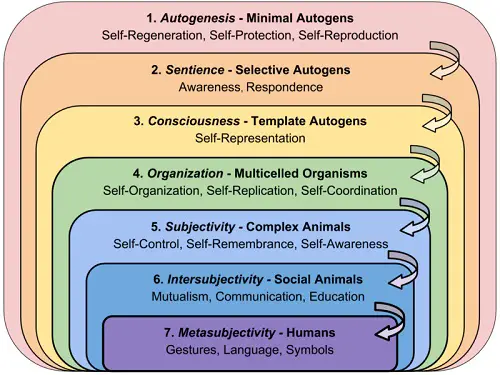 The emergence and evolution of living consciousness