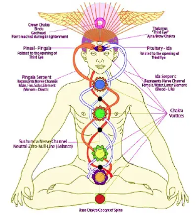 Kundalini Serpents and Third Eye