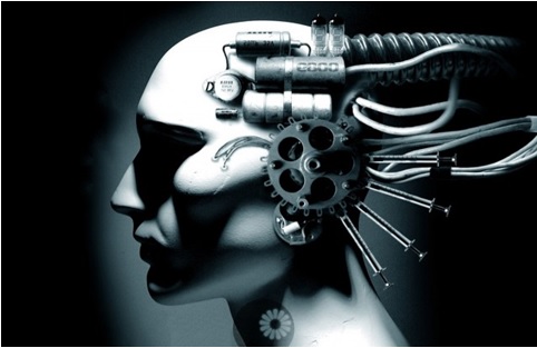 The transhuman cyborg