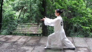 Tai Chi Practitioner