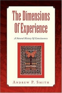 The Dimensions of Experience