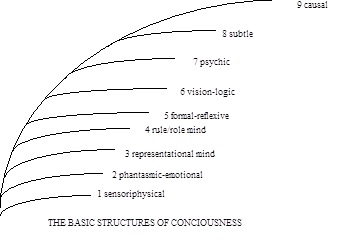 The Basic Structures of Consciousness