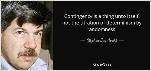 Replaying the Tape of Life: Gould's Contingency Thesis and Its Critics
