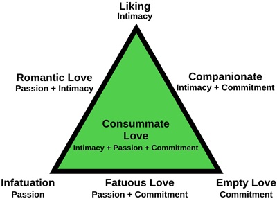 Robert Sternberg's influential triangular theory