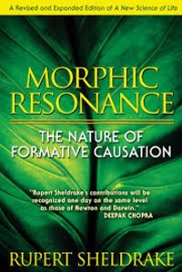 Morpic Resonance