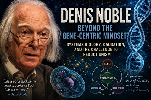 Denis Noble and the Gene-Centric Straw Man, A Critical Assessment of Systems Biology's Rebel Physiologist