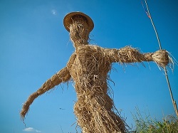 strawman