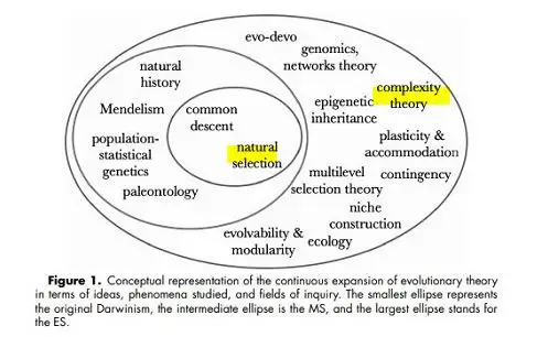 The extended evolutionary synthesis