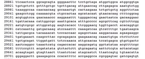 a fragment of the full sequenced genome of SARS-Cov-2