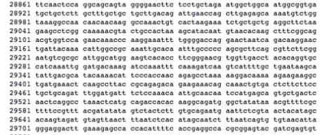 a fragment of the full sequenced genome of SARS-Cov-2