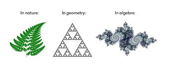 fractals in nature, geometry and algebra