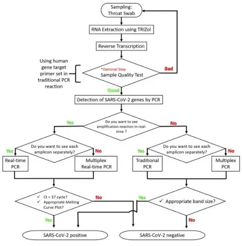 Selection flowchart for SARS-CoV-2 detection protocols.