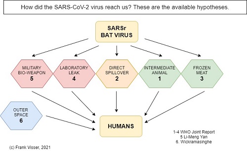 The available hypotheses about the origin of the SARS-CoV-2 virus