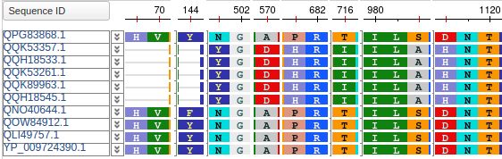 B.1.1.7 variants - Spike protein (composite image)