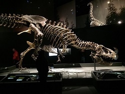 T-Rex