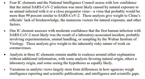 Unclassified Summary of Assessment on COVID-19 Origins