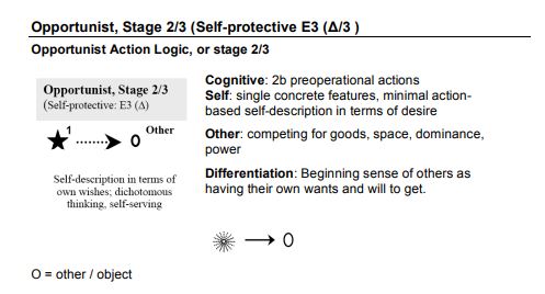 Leadership Development Framework (Susan Cook-Greuter)