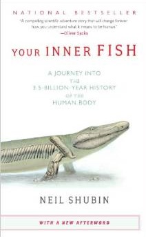 Your Inner Fish