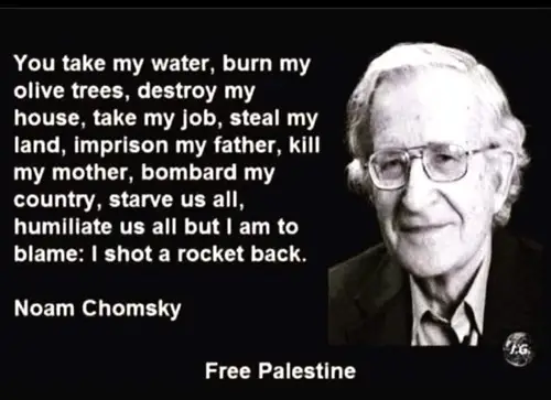 Noam Comsky on the Palestine right to retaliate