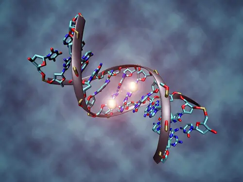 The Mysteries of Epigenetics