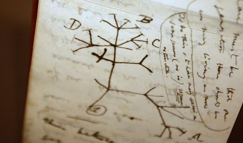 The Use of Metaphors in Science
