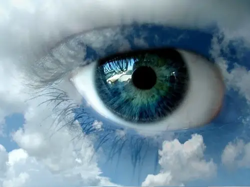 The Eye of Spirit and its Discontents