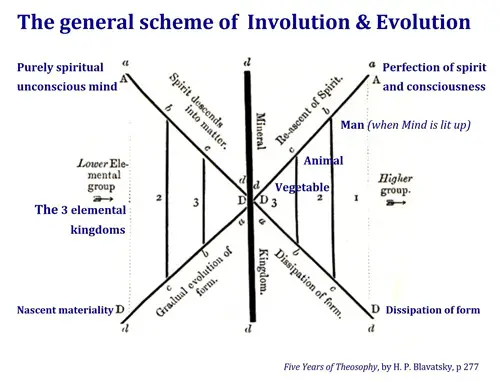 involution and evolution, Theosophy