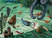 pre-Cambrian life forms