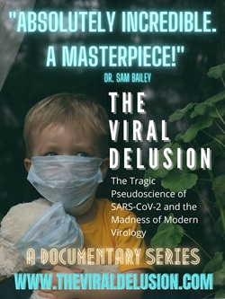 The Viral Delusion, 'An Absolutely Incredible Masterpiece'?'