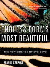 Sean B. Carroll, Endless Forms Most Beautiful