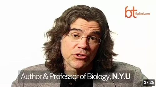 Tyler Volk and the Ecology of Everything'